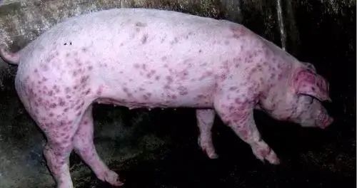 微信圖片_20210422161129