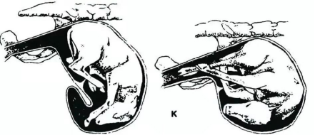 微信圖片_20210709095842