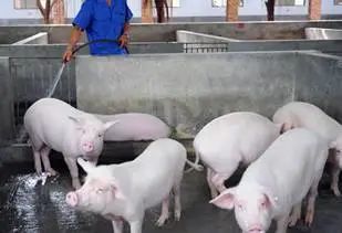 微信圖片_20210709103154