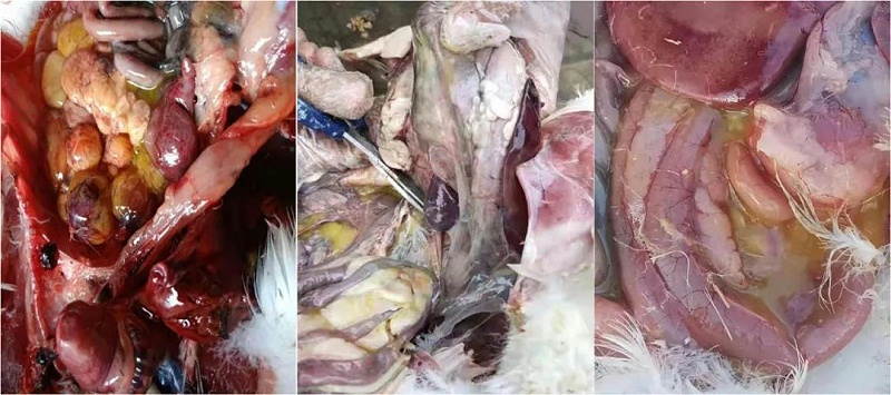 微信圖片_20210405141811