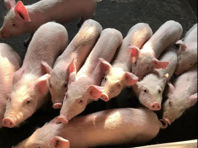 微信圖片_20210604173305