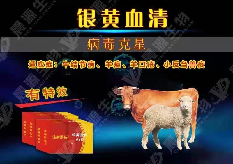 銀黃血清-牛結(jié)節(jié)病治療