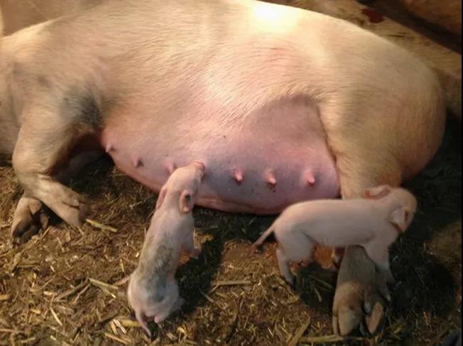 微信圖片_20210608174929