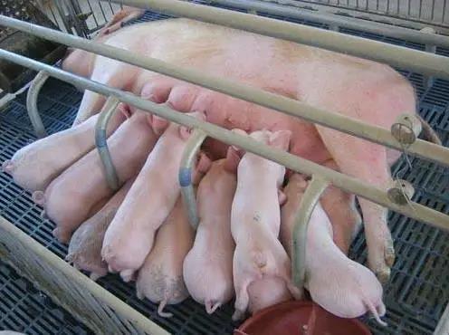 微信圖片_20210608174935