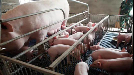 微信圖片_20210608174939