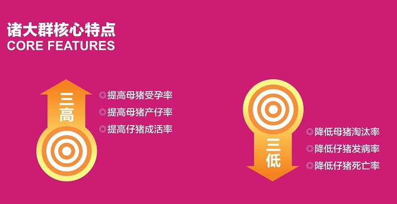 晨源生物諸大群特點