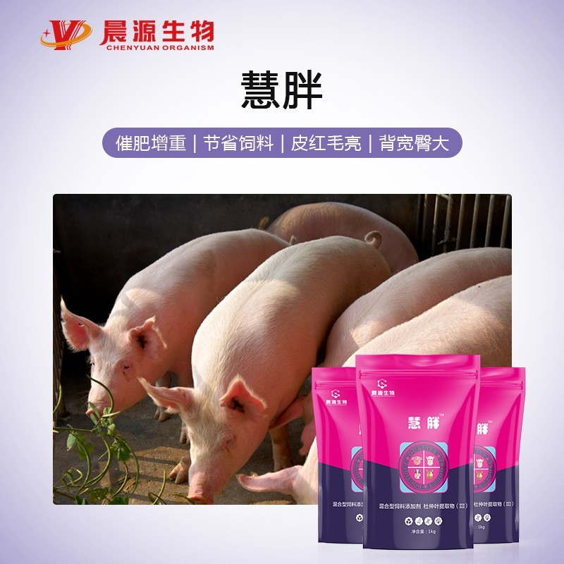 全成勿憂--慧胖