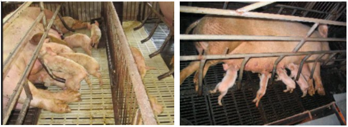 QQ截圖20210730142823