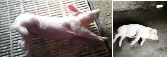 微信圖片_20210324105058