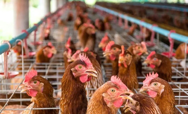 微信圖片_20210530150616