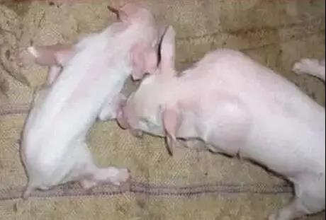 微信圖片_20210530150811