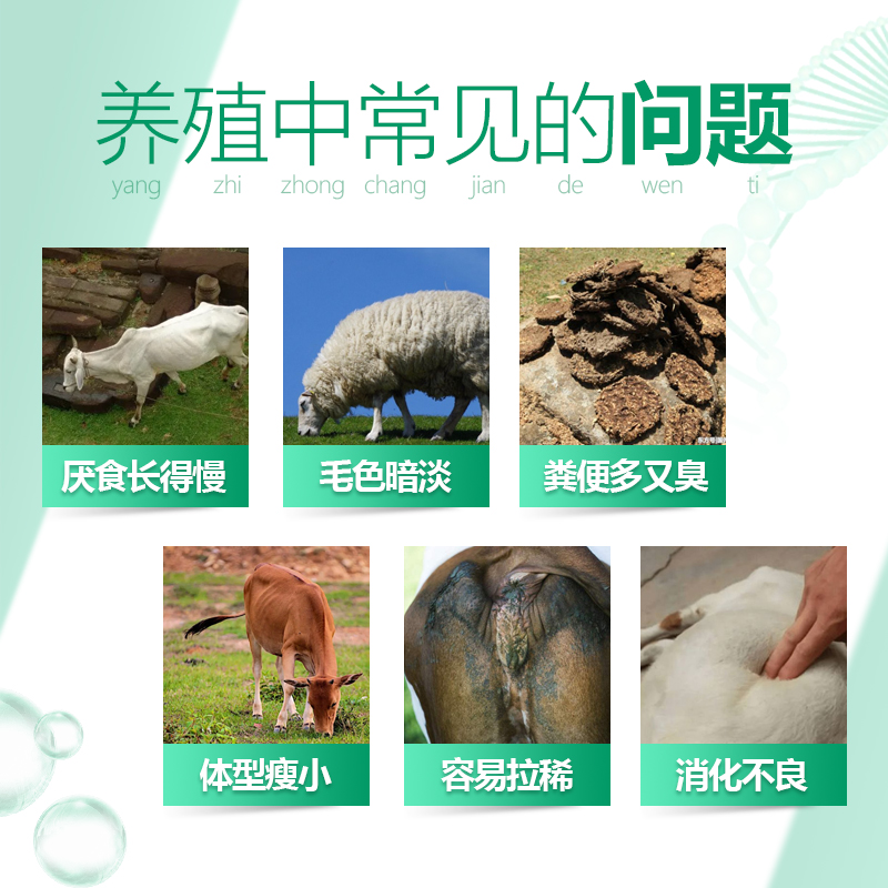 催肥促生長-牛羊膘得壯