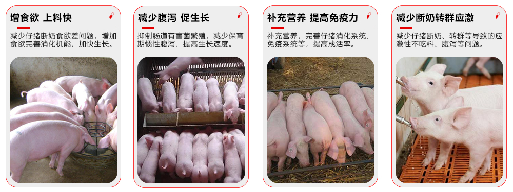 全程勿憂-保育專用 產品功效