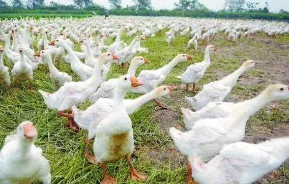 微信圖片_20210507151119