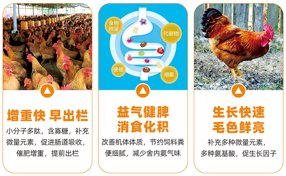 肥旺旺產品功效