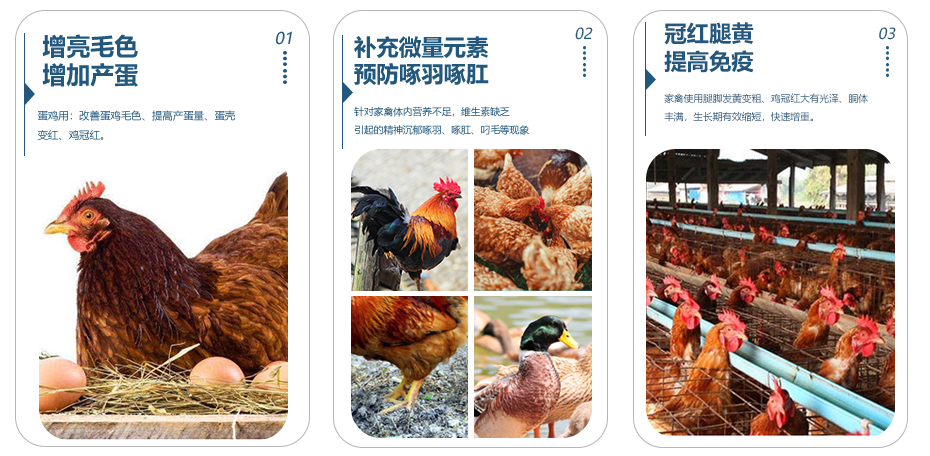 冠狀紅產(chǎn)品功效