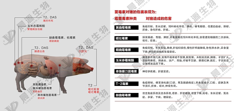 微信圖片_20210725181135