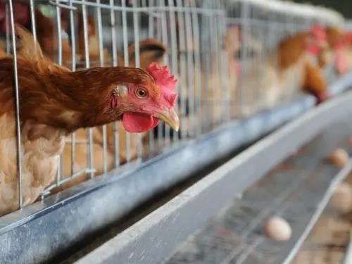 微信圖片_20210316152357