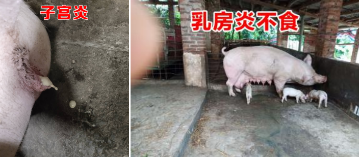 微信圖片_20210416164421