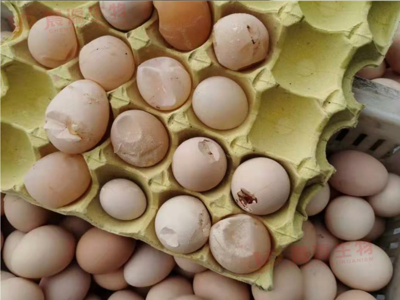 圖片1 - 副本 (2)