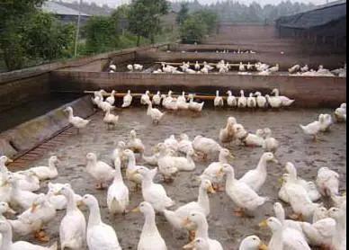 微信圖片_20210528104143