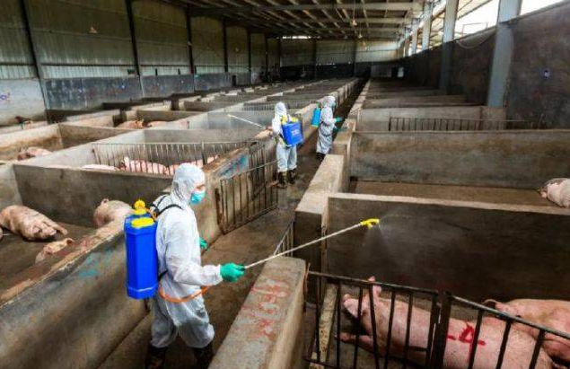 微信截圖_20220401170625